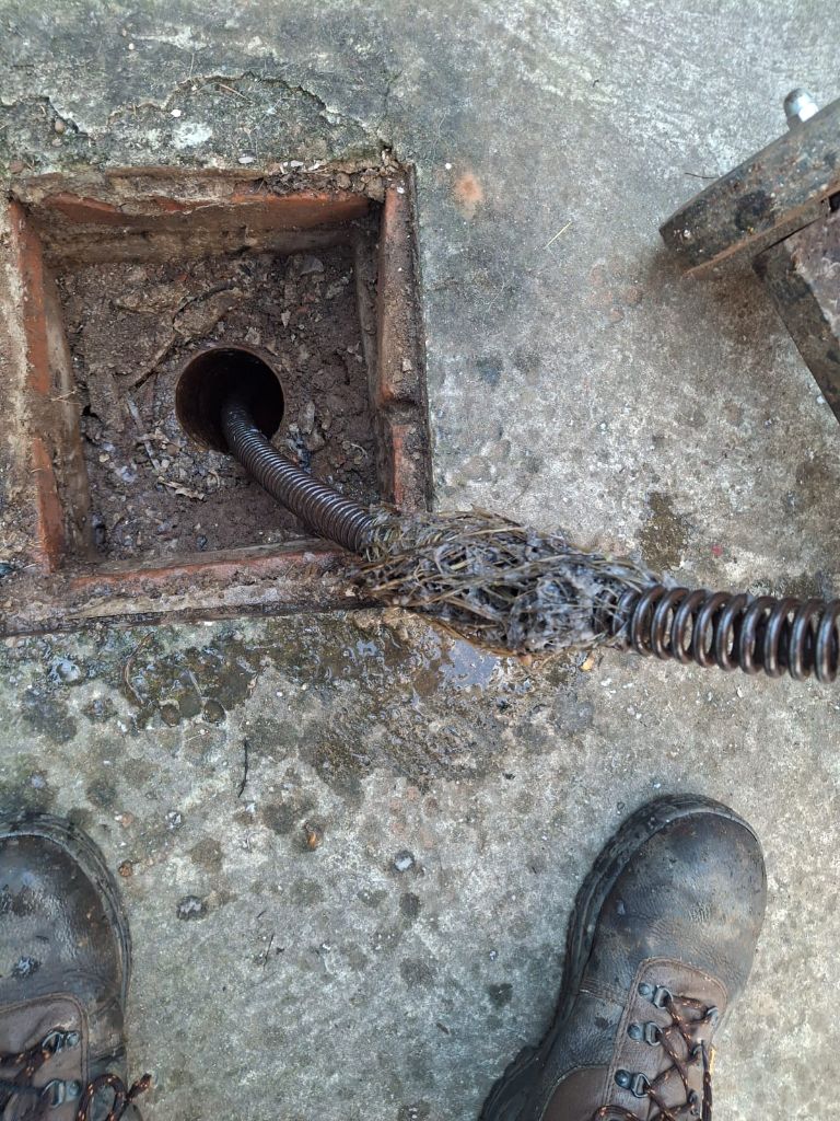Drain inspection
