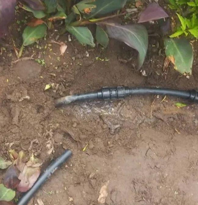 Pipe joint leak repair in garden