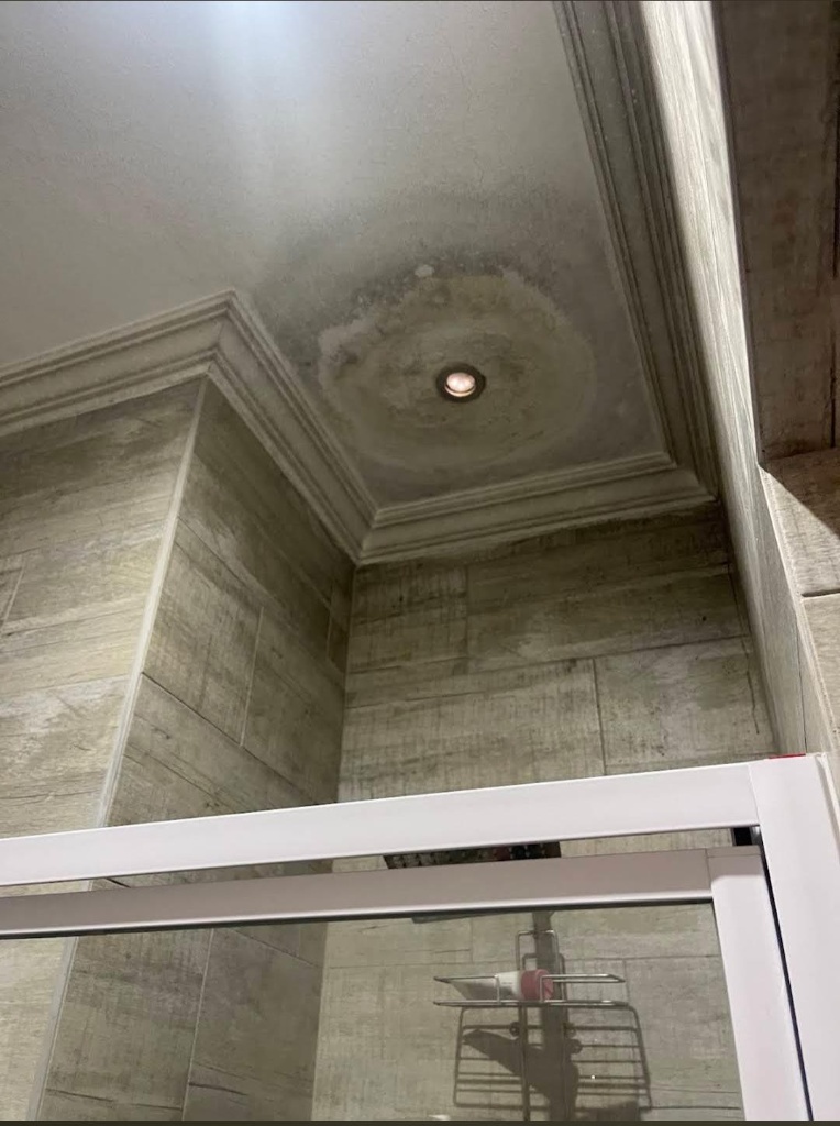 Leak source located in wall