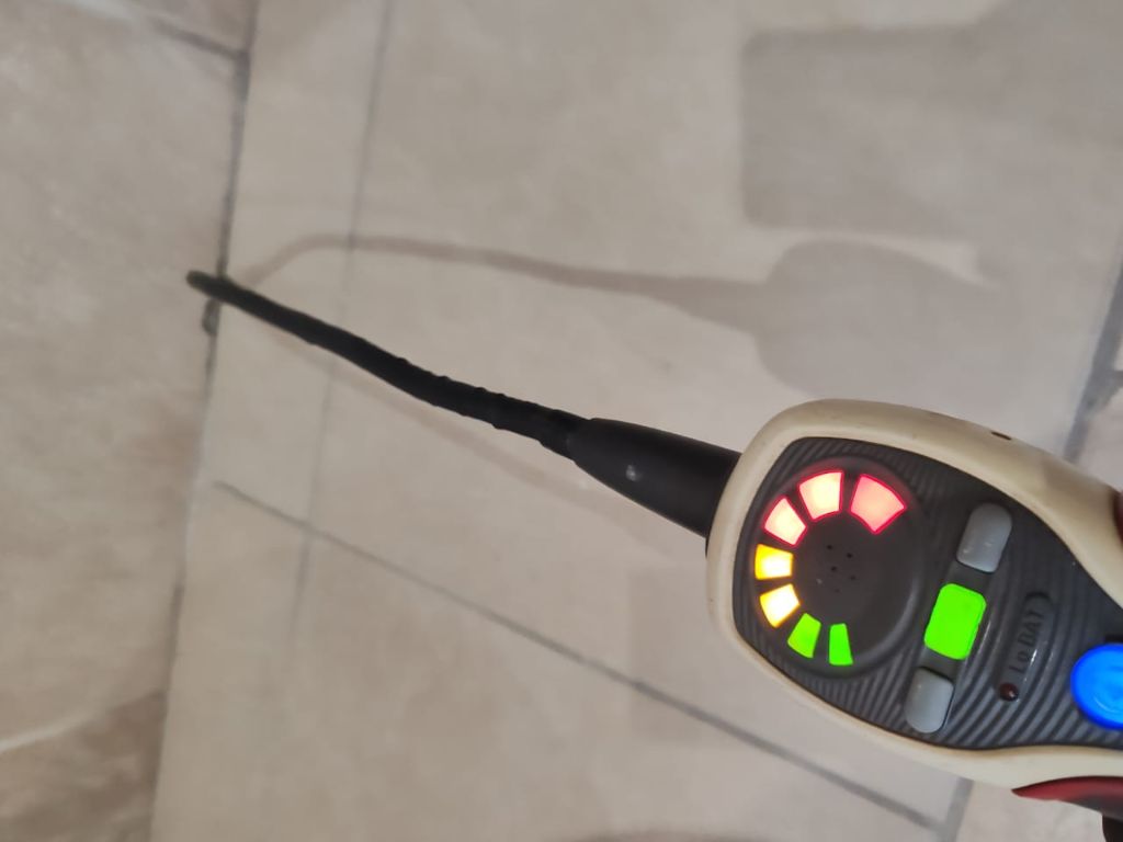 Leak detection probe scanning for hidden water leak