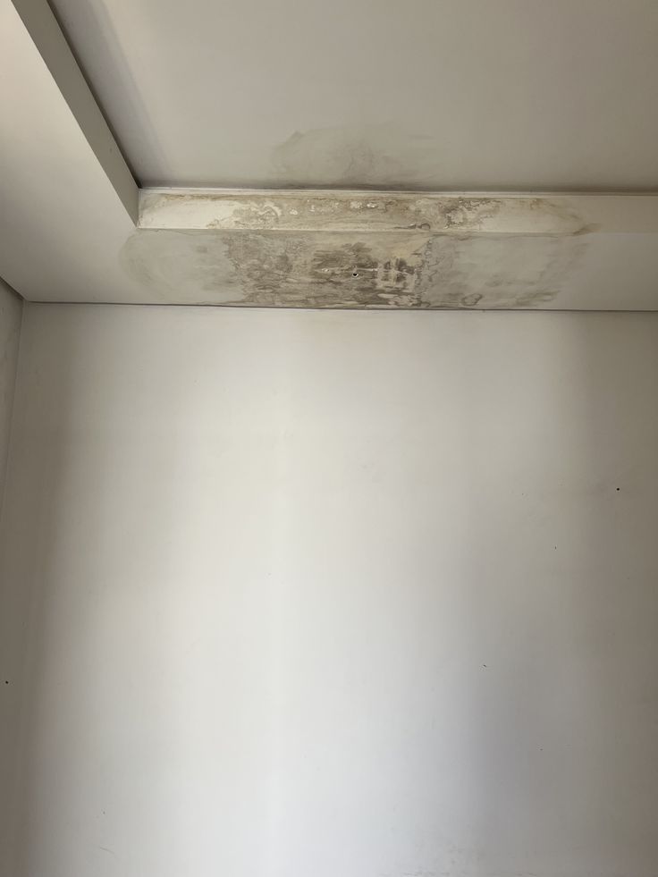 Ceiling mould and moisture stain at wall junction