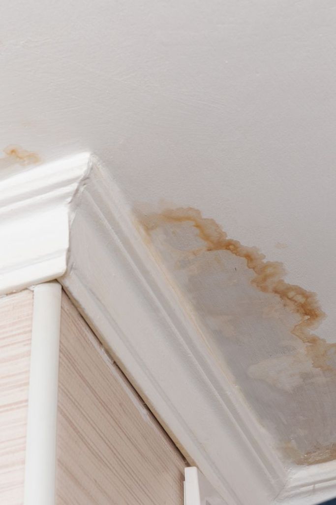 Ceiling water stain — brown damp patch at cornice
